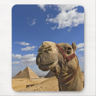 Tapis De Souris Chameau devant les pyramides de Gizeh, Égypte,