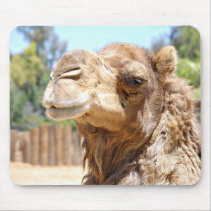 Tapis De Souris Chameau Mousepad