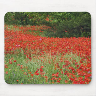Tapis De Souris Champ de fleurs de pavot hybride planté le long de