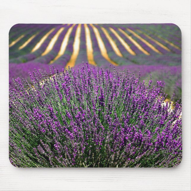 Tapis De Souris Champ de lavande violette (Devant)