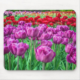 Tapis De Souris Champ de tulipe