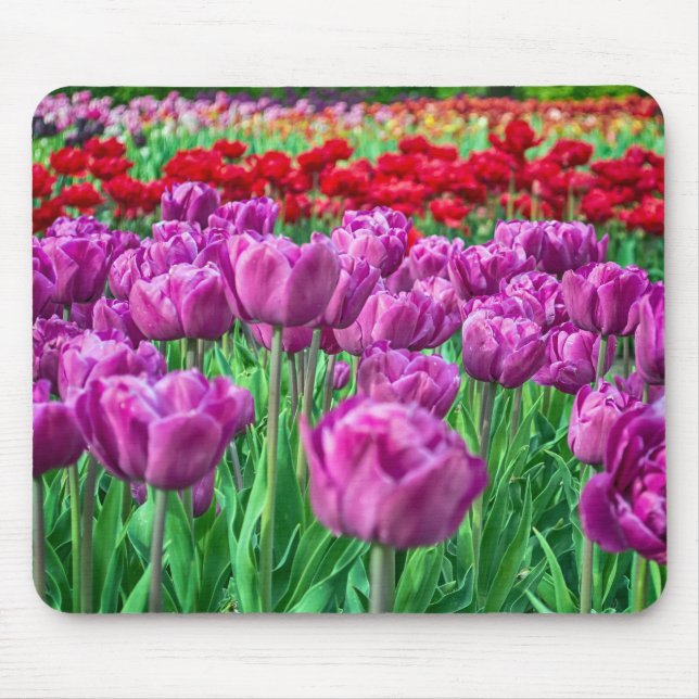 Tapis De Souris Champ de tulipe (Devant)