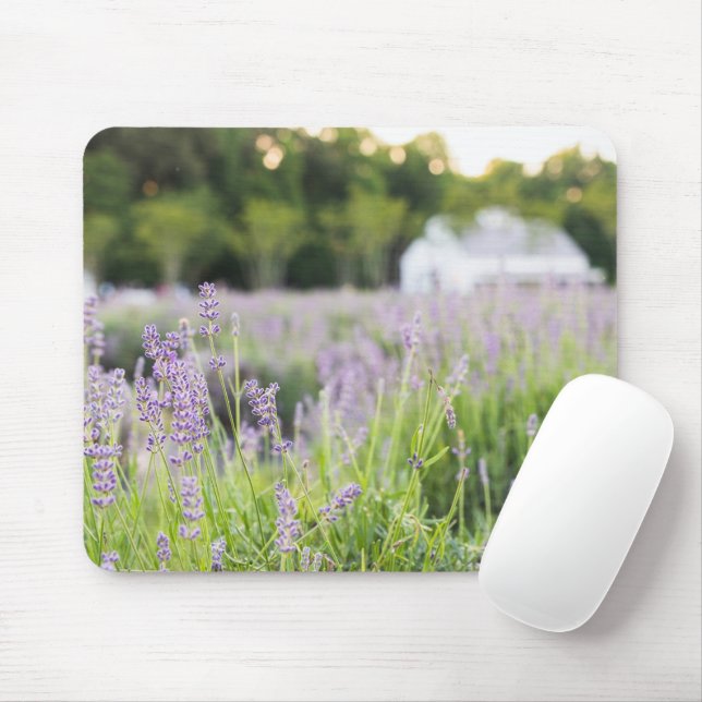 Tapis De Souris Champ Lavande Tranquille (Avec souris)