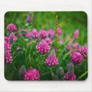 Tapis De Souris Champ Printemps