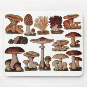 Tapis De Souris Champignon végétarien de cru de steampunk de