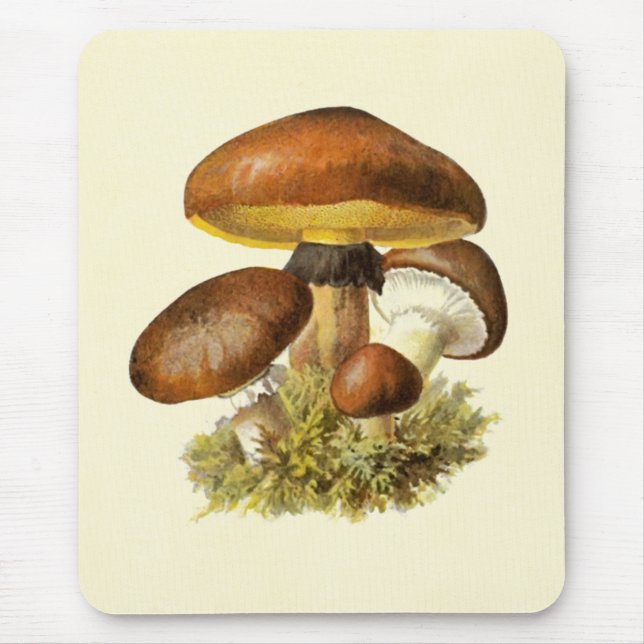 Tapis De Souris Champignon vintage Brown (Devant)