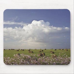 Tapis De Souris Champs de récolte avec des fleurs de cosmos dedan