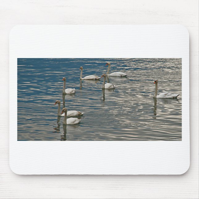 Tapis De Souris Chant du cygne (Devant)