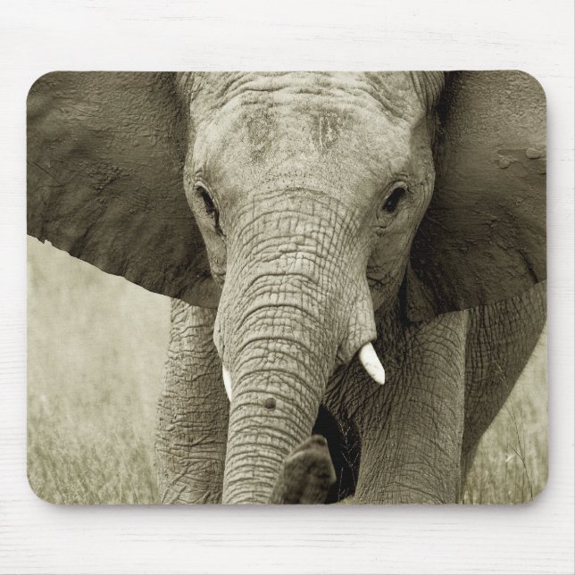 Tapis De Souris Charge d'éléphant africain, mousepads de safari de (Devant)