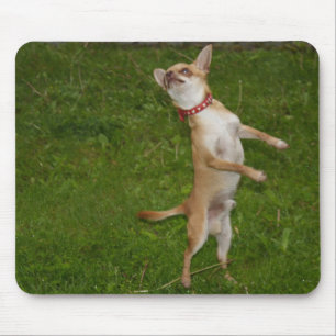Tapis De Souris Charlie Chihuahua