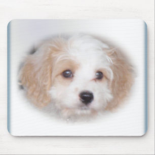Tapis De Souris Chasse Cavachon Mousepad