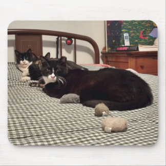 Tapis De Souris Chat