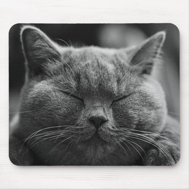 Tapis De Souris chat (Devant)