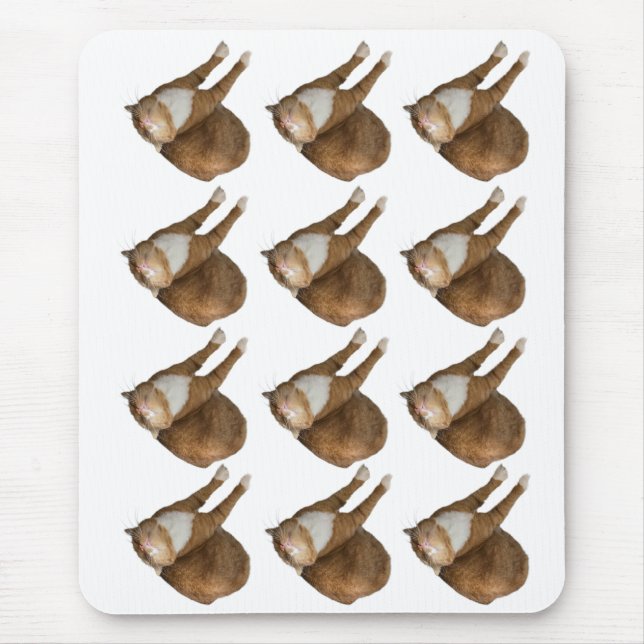 Tapis De Souris Chat au soleil à l'envers (Devant)