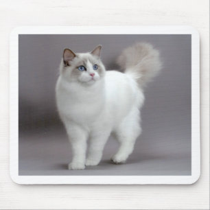 Tapis De Souris Chat aux yeux bleus Purfection de Ragdoll
