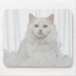 Tapis De Souris Chat blanc avec des plumes