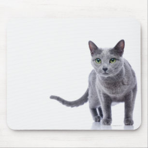 Tapis De Souris Chat bleu russe