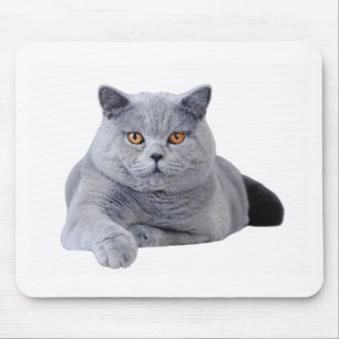 Tapis De Souris Chat britannique de shorthair
