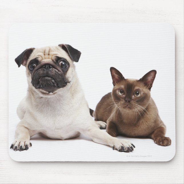 Tapis De Souris Chat carlin et birman (Devant)