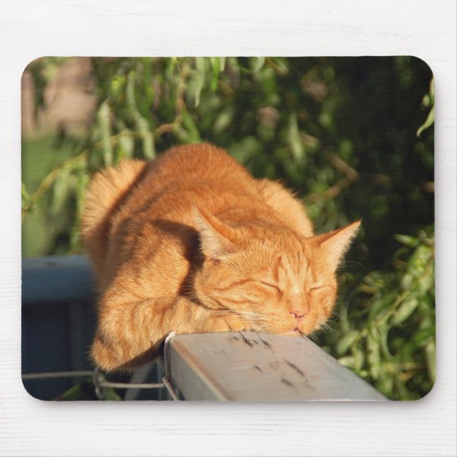 Tapis De Souris chat, chat rouge, animal de compagnie (Devant)