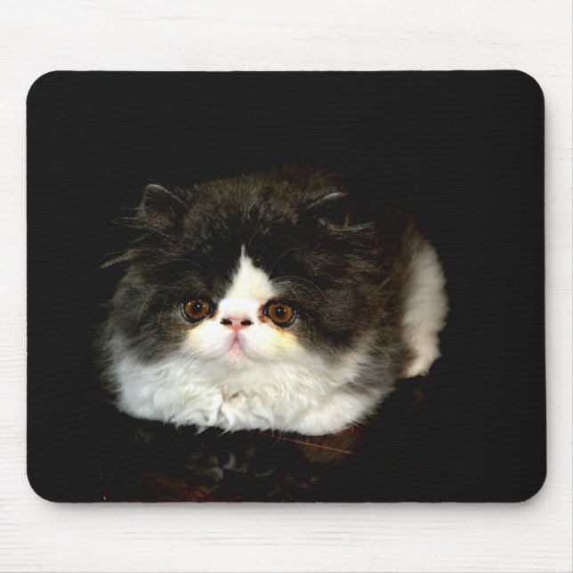 Tapis De Souris Chat chaton blanc noir mignon (Devant)