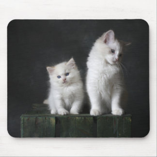 Tapis De Souris chat, chaton, félin