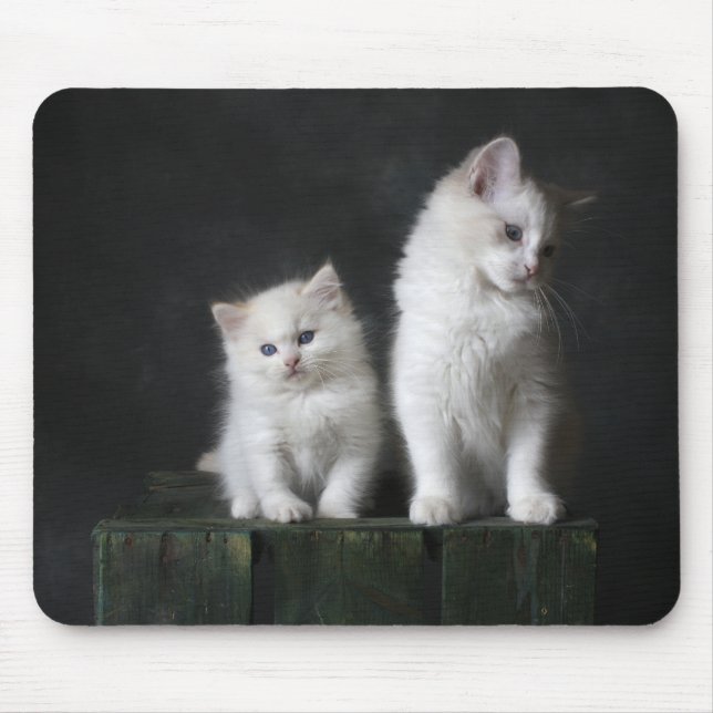 Tapis De Souris chat, chaton, félin (Devant)