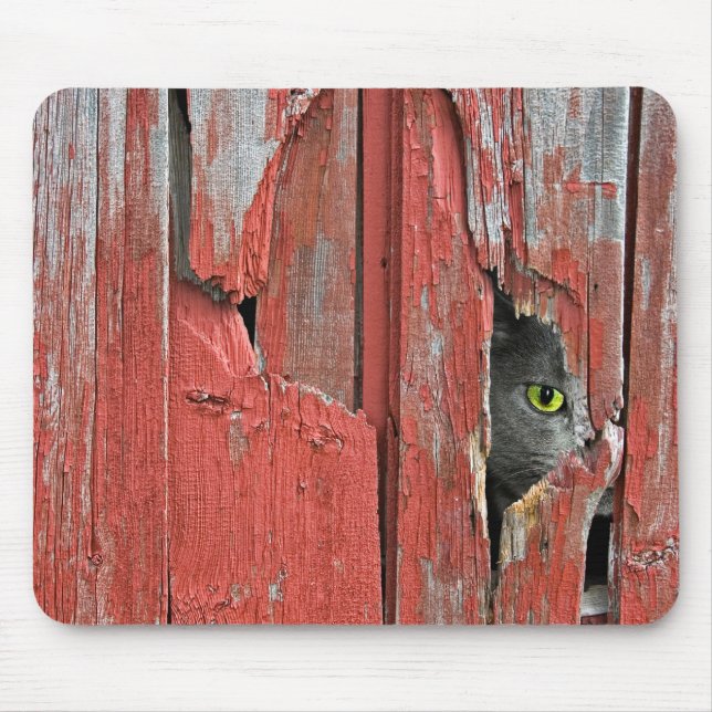Tapis De Souris Chat dans trou de bois de grange (Devant)