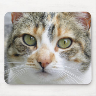 Tapis De Souris Chat de calicot Mousepad