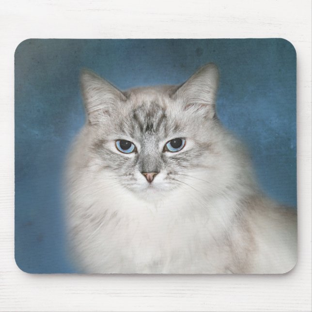 Tapis De Souris Chat de l'Himalaya de point bleu (Devant)