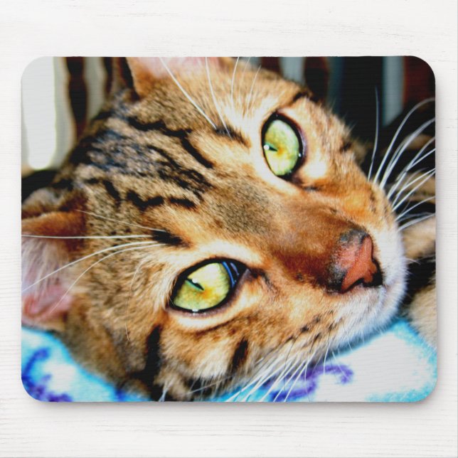 Tapis De Souris Chat de Mousepad Bengale (Devant)