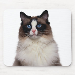 Tapis De Souris Chat de Ragdoll