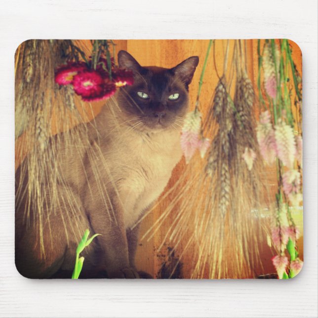 Tapis De Souris Chat de Siamese Poing #3 Animal (Devant)