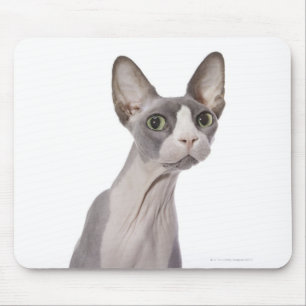 Tapis De Souris Chat de Sphynx avec l'expression étonnée