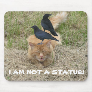 Tapis De Souris Chat de statue ?