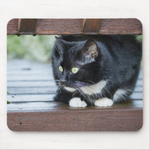 Tapis De Souris Chat de Tuxedo noir et blanc