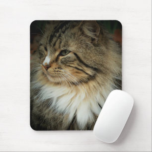 Tapis de souris Chat des Forêts Norvégiennes