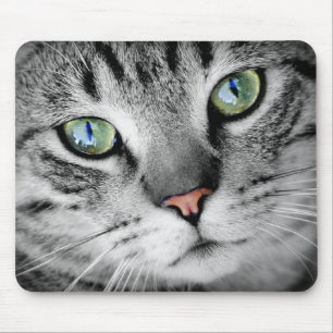 Tapis De Souris chat des yeux