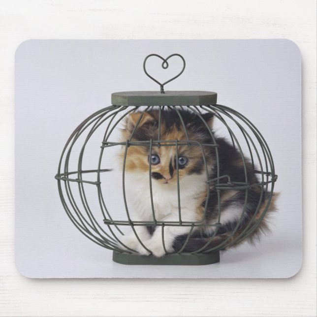 Tapis De Souris Chat en cage (Devant)