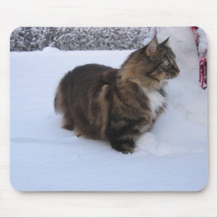 Tapis De Souris chat forestier norvégien dans la neige