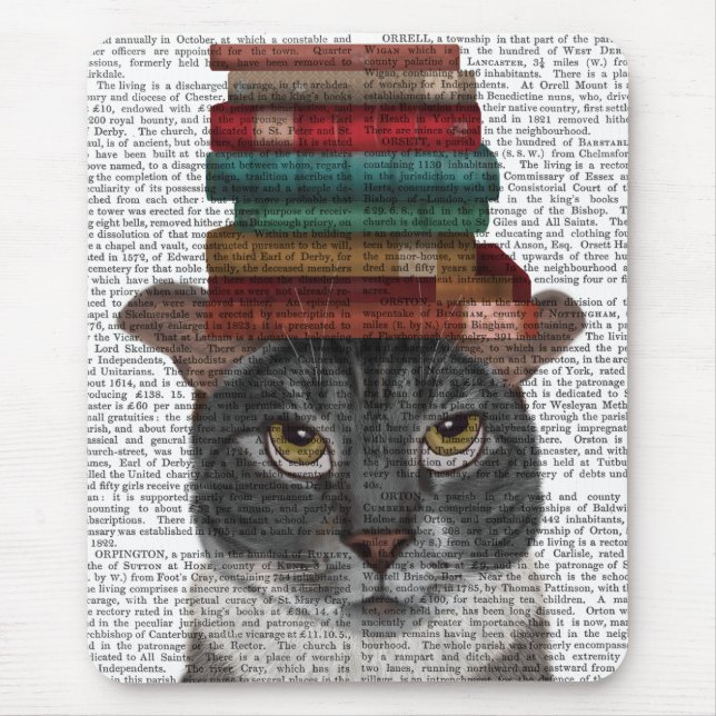 Tapis De Souris Chat gris avec des livres sur la tête (Devant)