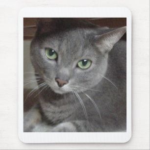 Tapis De Souris Chat gris bleu russe