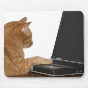 Tapis De Souris chat informatique