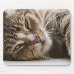 Tapis De Souris Chat, La gueule de bois, L'oeil du chat