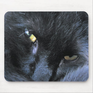 Tapis De Souris Chat mauvais Mousepad