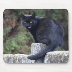 Tapis De Souris Chat noir