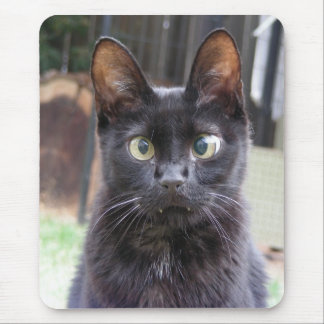 Tapis De Souris Chat noir de Kitty