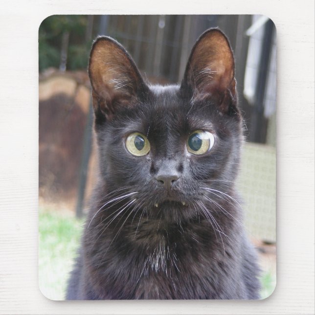 Tapis De Souris Chat noir de Kitty (Devant)