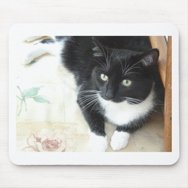 Tapis De Souris Chat noir et blanc mignon (Devant)