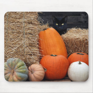 Tapis De Souris Chat noir et citrouille